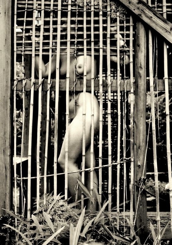 Kansuke Yamamoto nude in cage