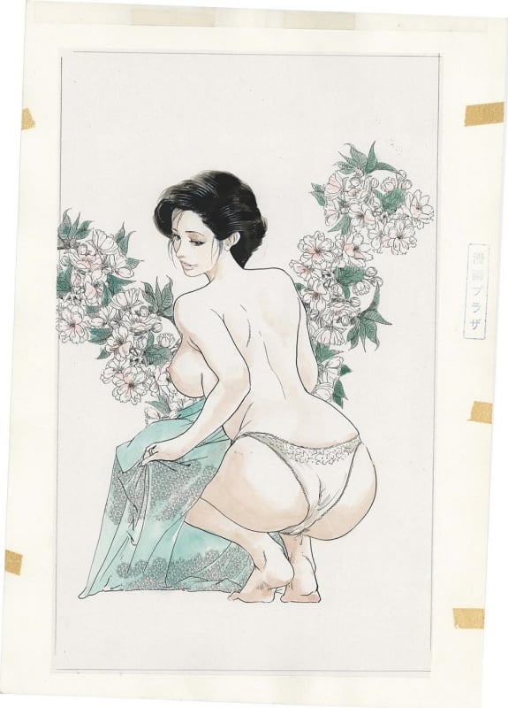 Ken Tsukikage erotic manga