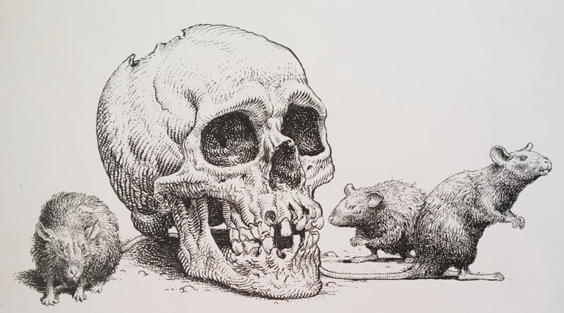 KerbCrawlerGhost skulls and rats
