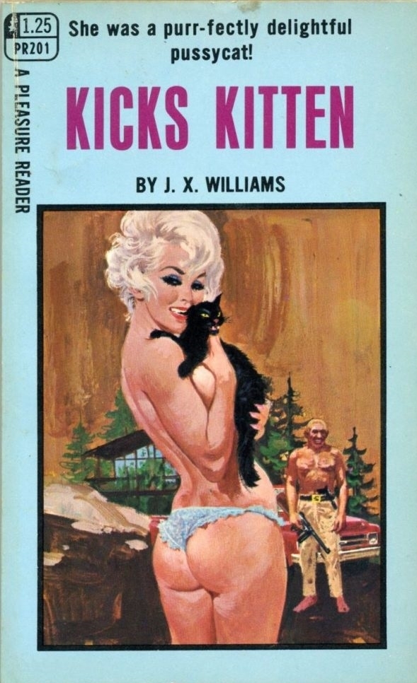 Kicks Kitten Pulp Novel