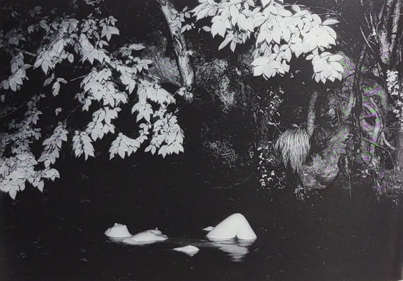 Kohei Yoshiyuki nude in the pond