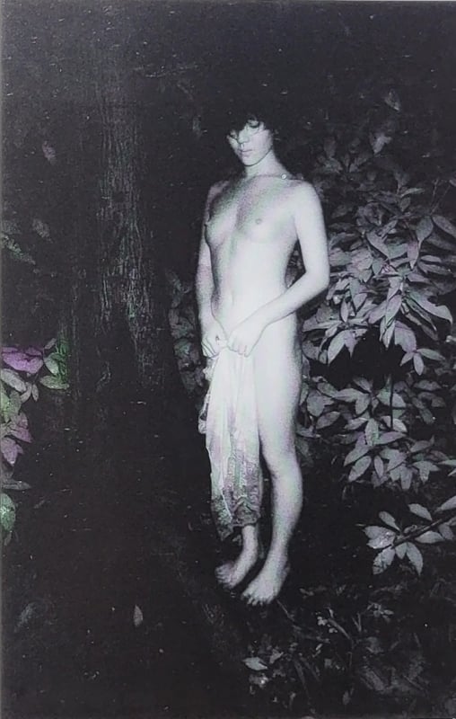 Kohei Yoshiyuki semi-nude in the park