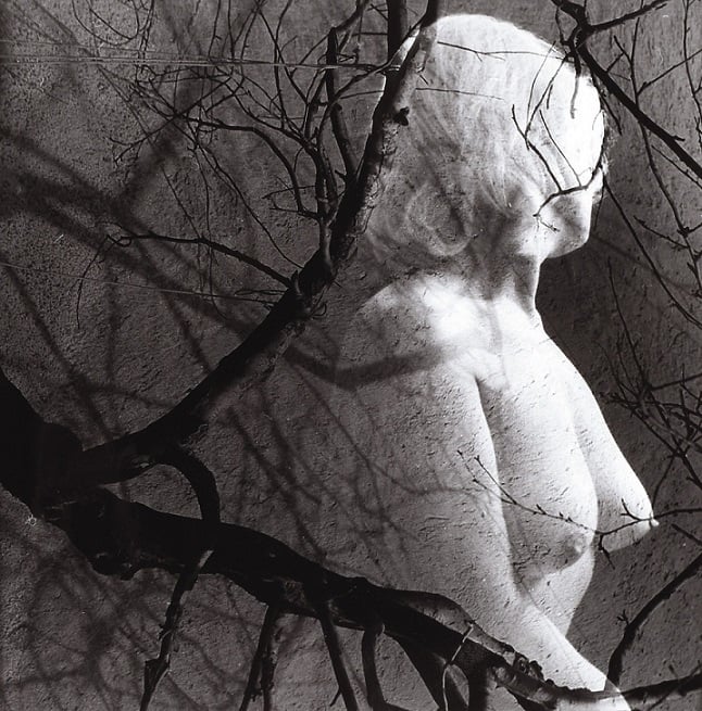 Ladislav Postupa nude tree