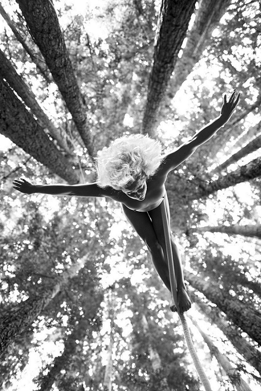 Lauren Herley, Redwoods, PRIVATE ACTS: The Acrobat Sublime