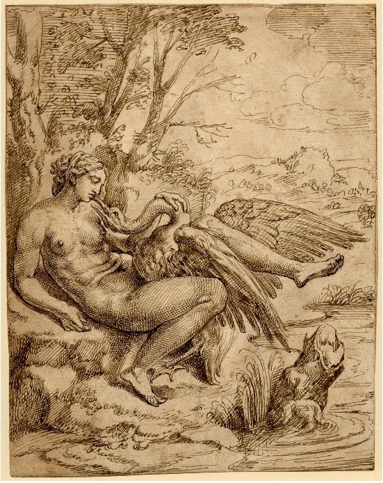 Leda and the swan