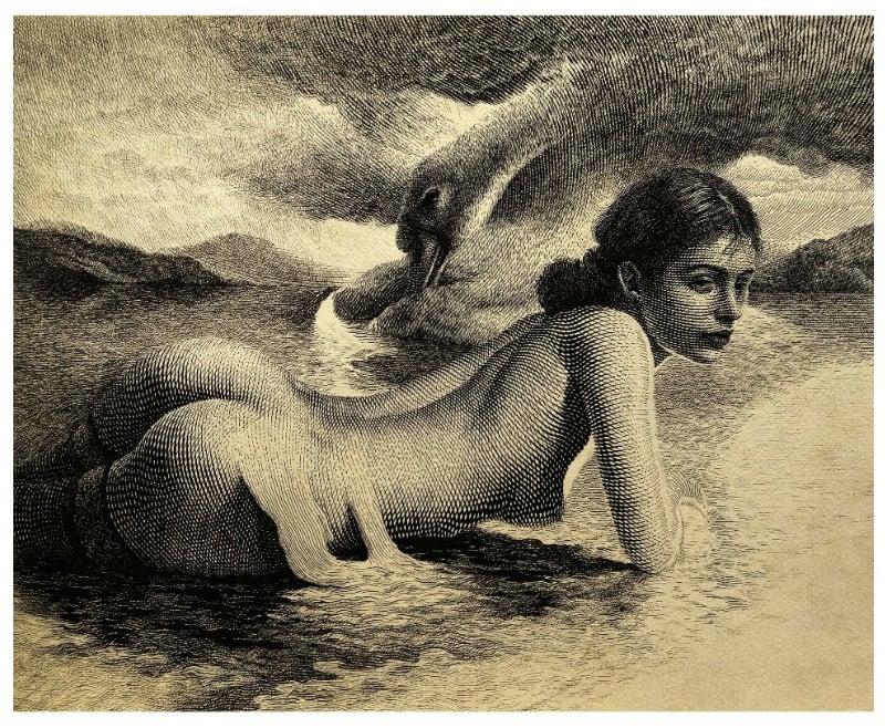 Leda and the Swan by Tri Le