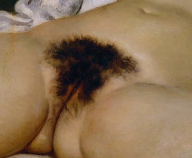 L'Origine du monde-The Origin of the World by Gustave Courbet, 1866, Close up.