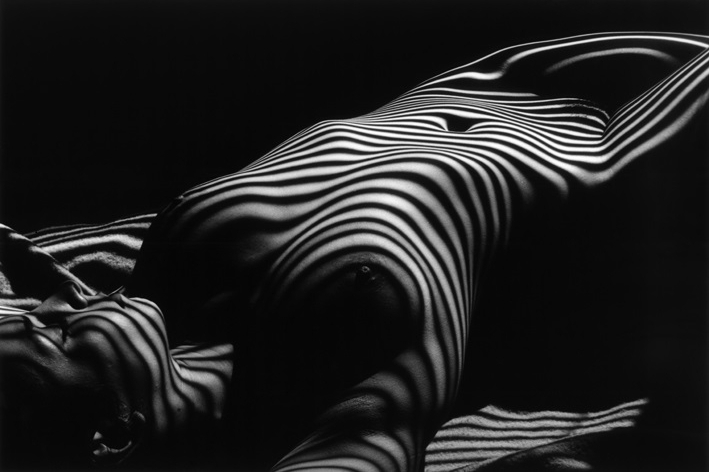 Lucien Clergue, Nu Zebre