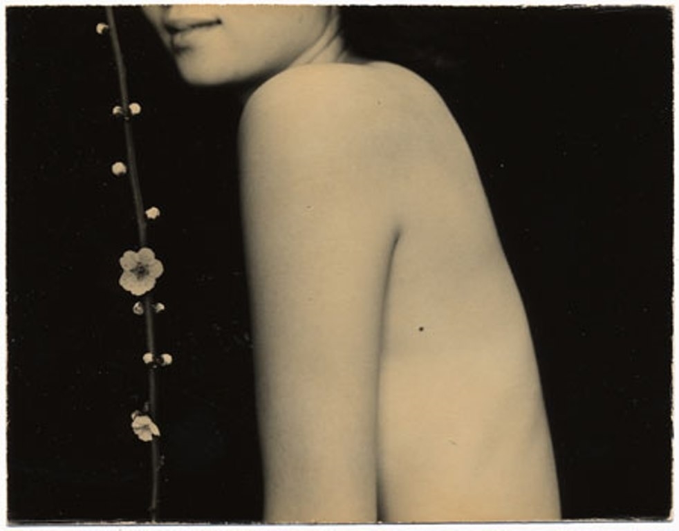 Masao Yamamoto nude and flower
