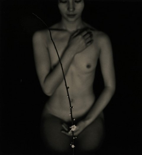 Masao Yamamoto nude female