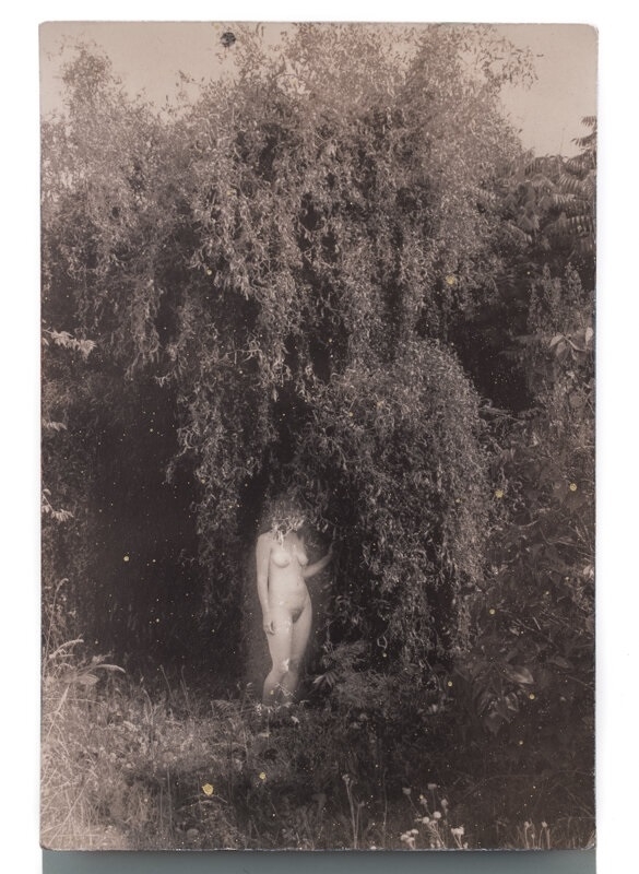 Masao Yamamoto nude tree