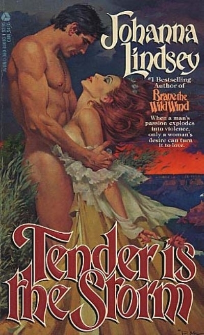 McGinnis’ cover for Tender Is The Storm novel