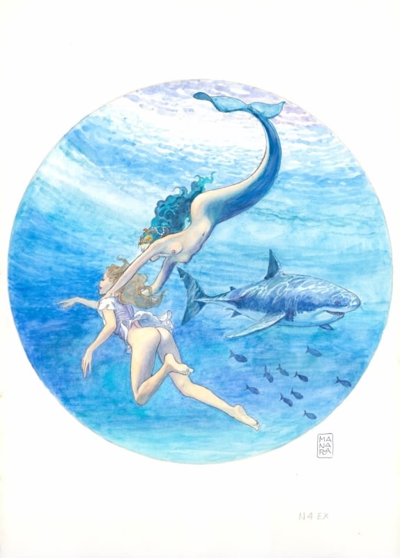 Milo Manara artwork of a mermaid and shark for erotic watch Milo Manara artwork of a mermaid and shark for erotic watch