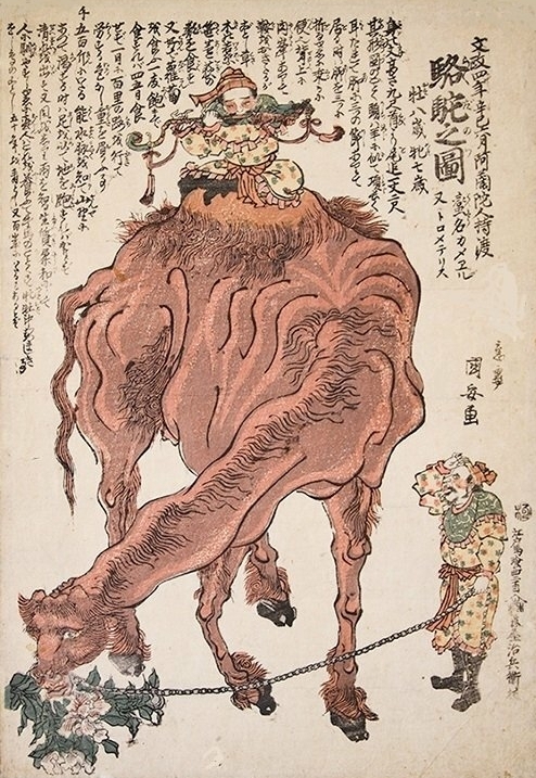 nagasaki-e camel