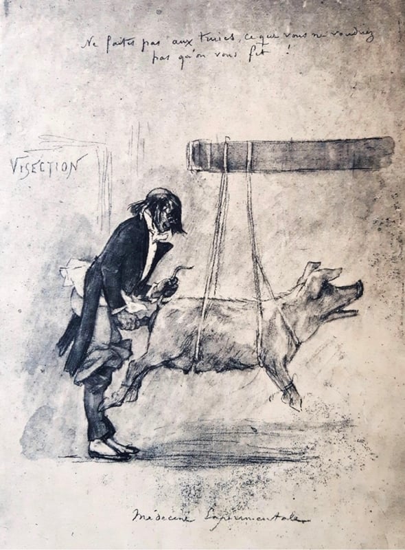 Ne faites pas aux truies ce que vous ne voulez pas qu’on vous fait. Don’t do the Sow what you would not want done to you.