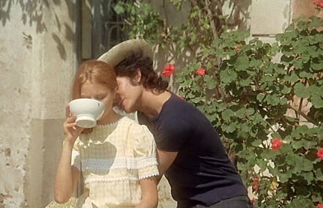 Nina Companéez  Faustine and the Beautiful Summer