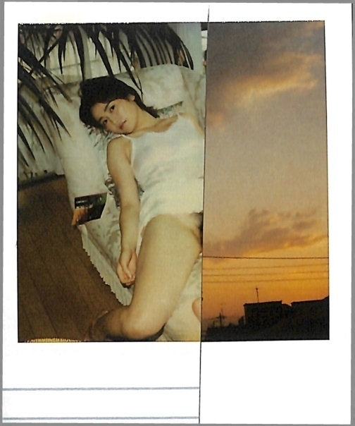 Nobuyoshi Araki polarnography