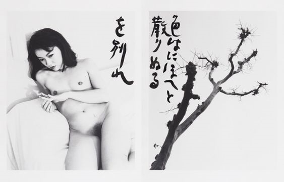 nobuysohi araki Tokyo nude