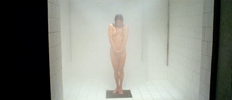 nudity in Giallo Slaughter Hotel