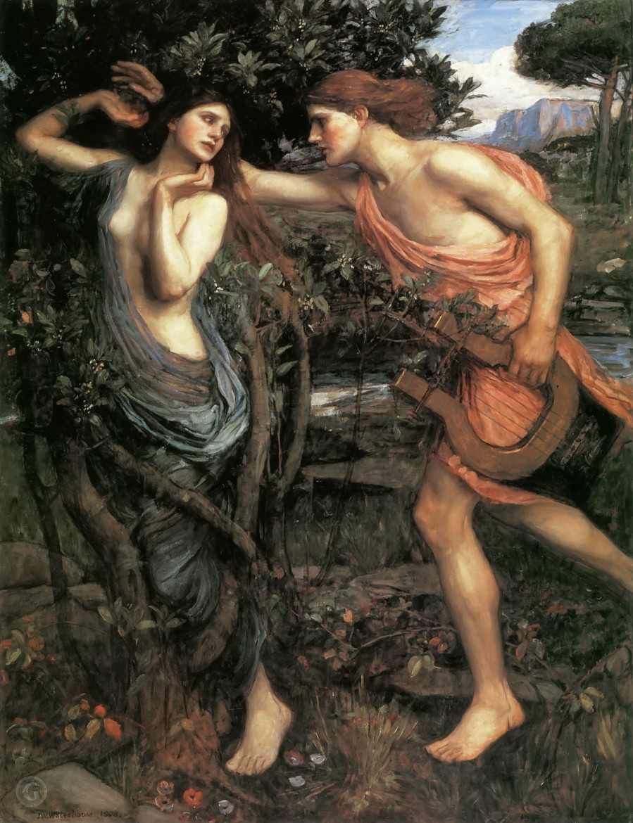  Arborophilia: 'Apollo and Daphne' by John William Waterhouse