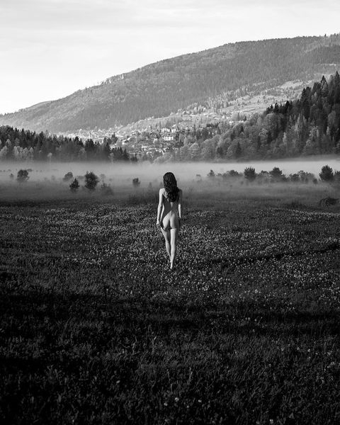 Pavlo Protsenko nude female in the field