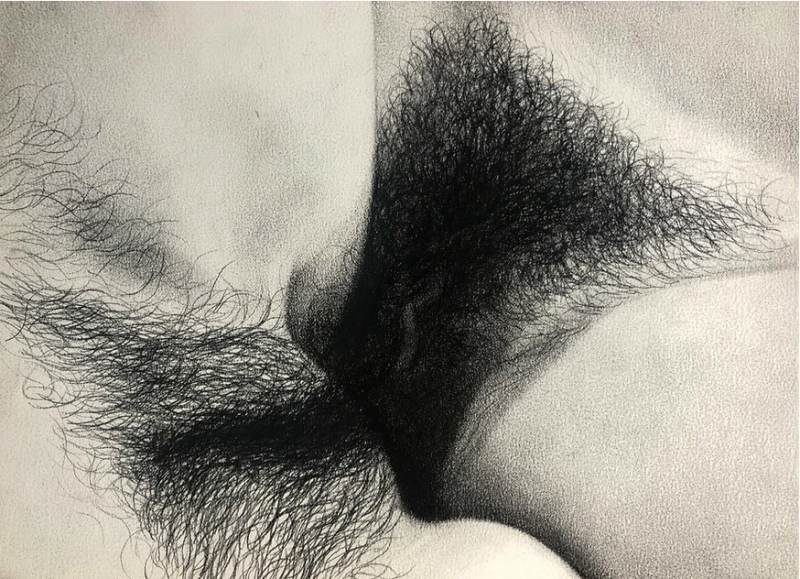 phillip dvorak two hairy vulvas