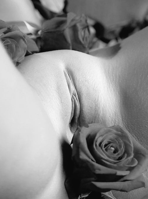 photo close up of a vulva and flower