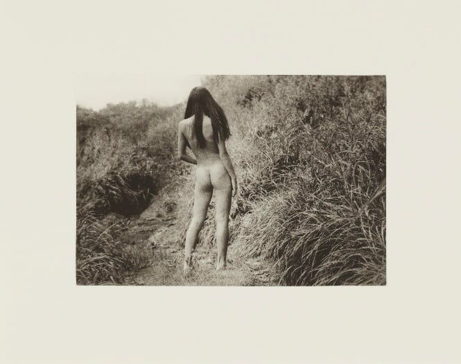 photographer Daido Moriyama