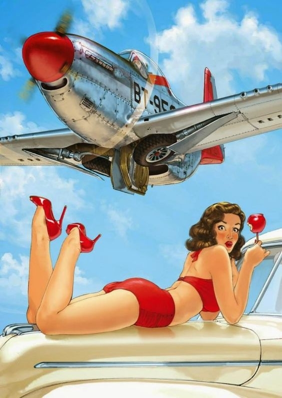 plane pin up Romain Hugault