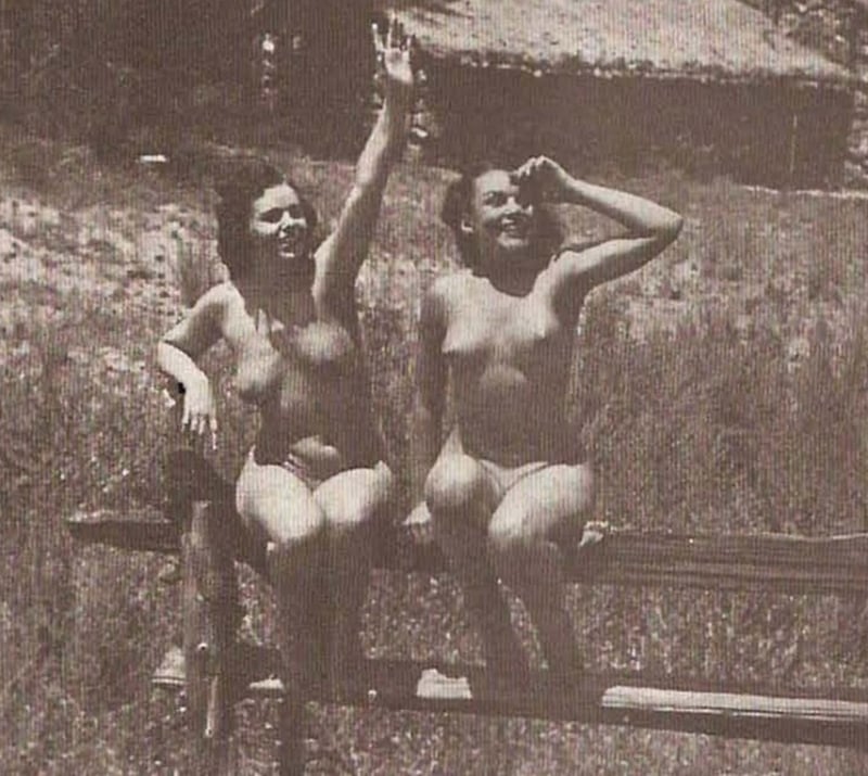 Playboy, December 1953 nude girls on a fence (detail)