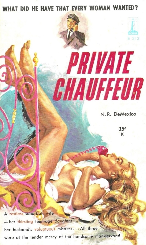Private Chauffeur by Paul Rader