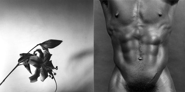 Robert Mapplethorpe, from The Perfect Moment,