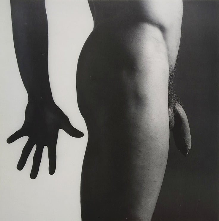 robert mapplethorpe untitled