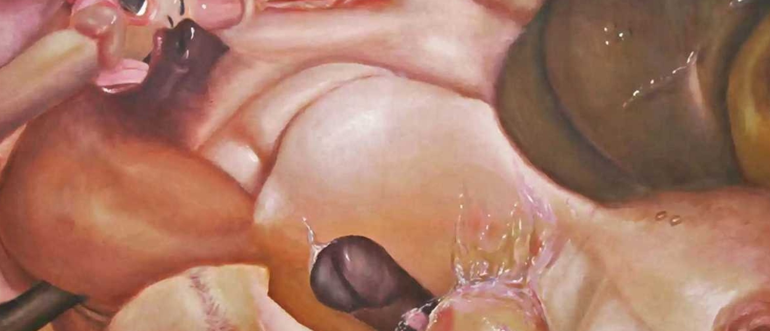 Curtains of the Labia, The Art of Ruth Bircham