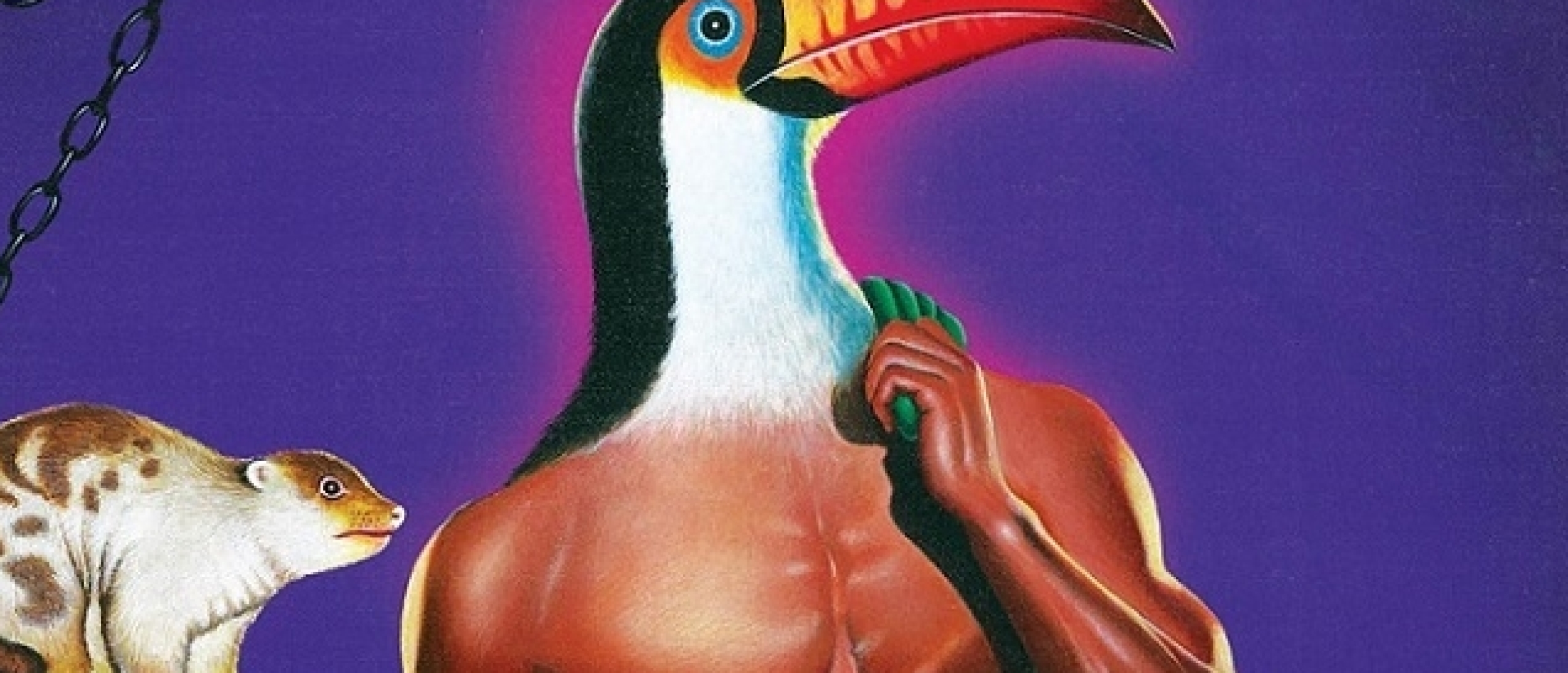 sadao hasegawa Toucan