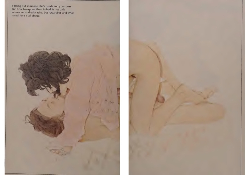 sex education book The Joy of sex