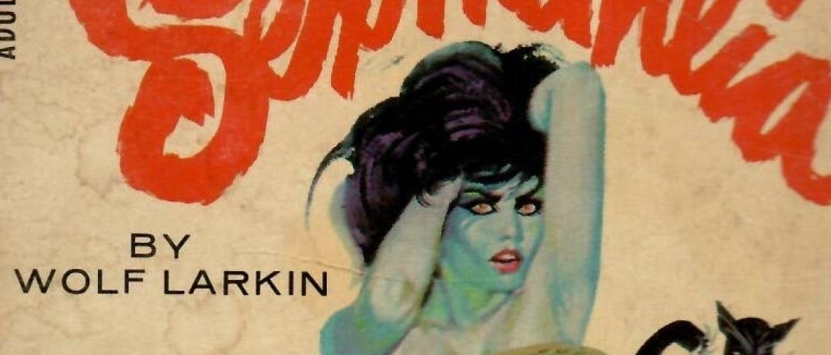 Top 40 Ways to Censor Female Nipples On Adult Books&#8217; Covers, Part Two