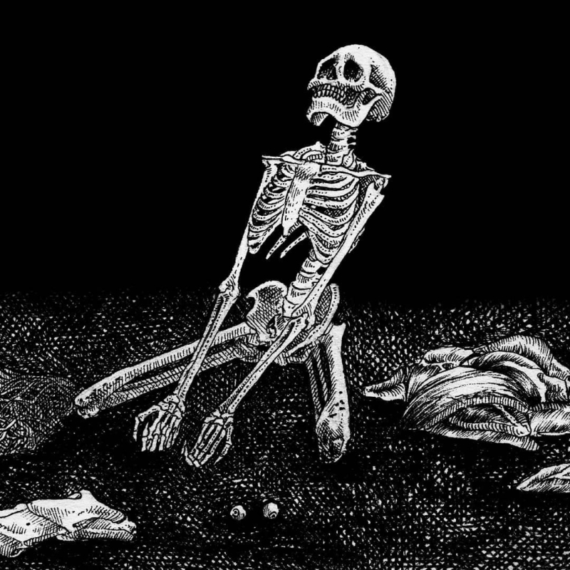 skeleton by artist Melf skeleton by artist Melf