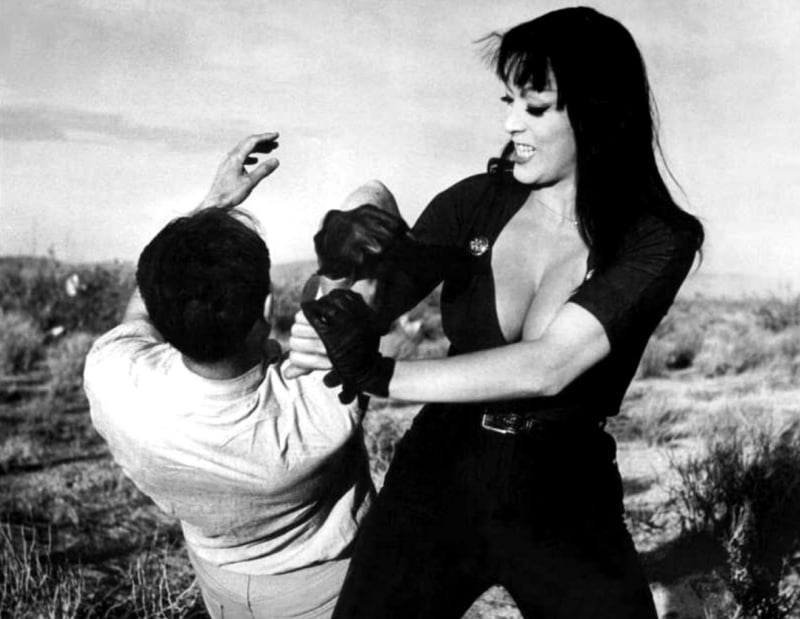 Some of the kick ass moves seen in Russ Meyer’s Faster, Pussycat! Kill! Kill!, 1965.
