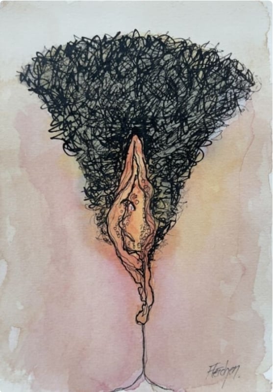 Stephen Fletcher, Donna