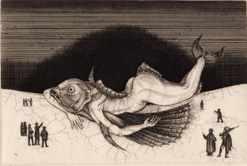 Stranding, copperplate engraving No.4, Fish series  by Shin Taga