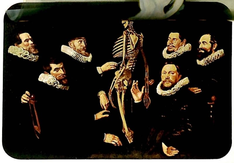 The Anatomy Lesson of Dr. Sebastien Egbertsz Dan Greenberg Skeleton