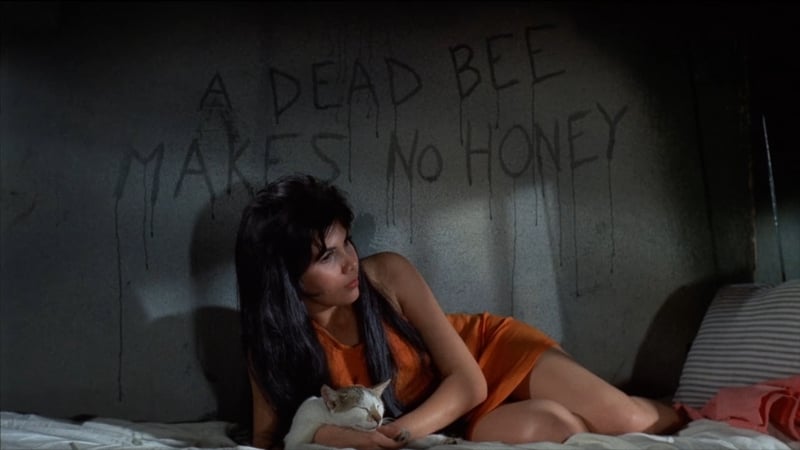 the Big Doll House Women in Prison film