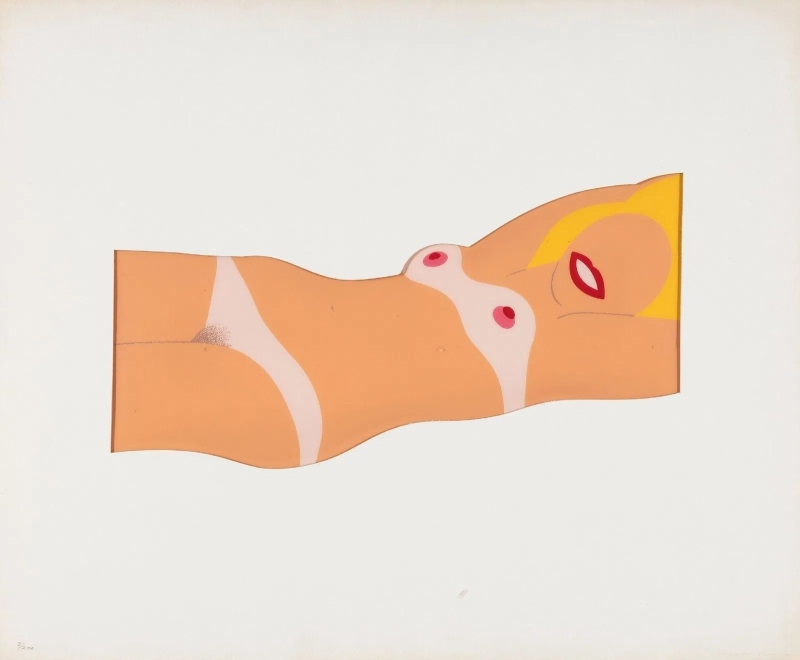 Tom Wesselmann, Cut Out Nude, 1965 Tom Wesselmann, Cut Out Nude, 1965