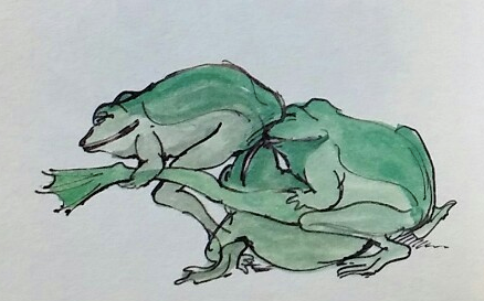 tomi ungerer frogs