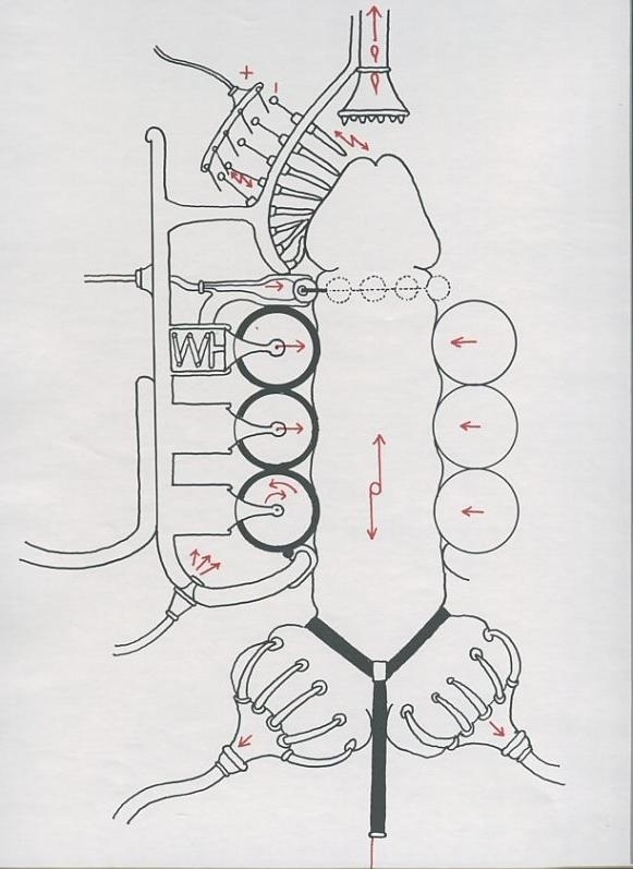 tomi ungerer phallus machine