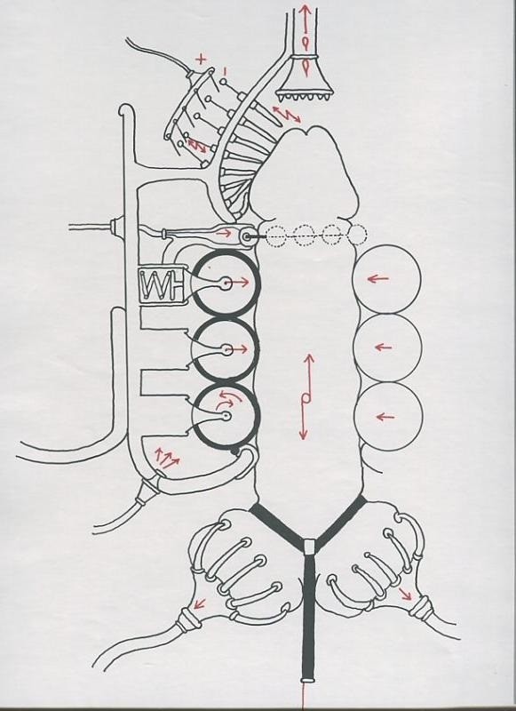 tomi ungerer phallus machine