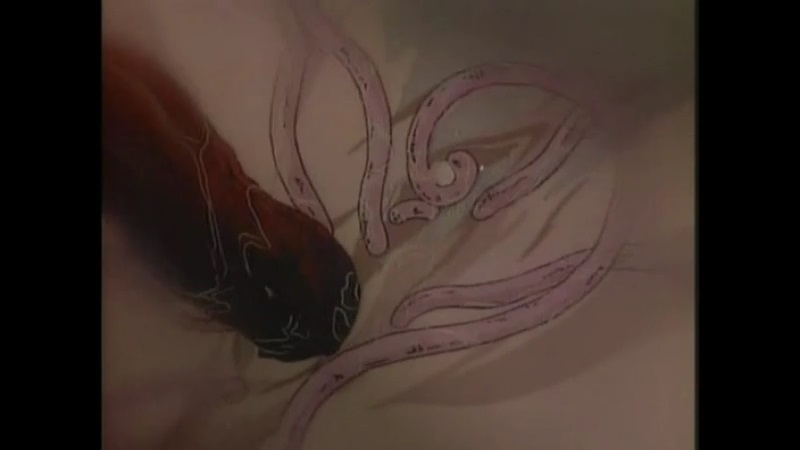 toshio maeda tentacle erotica
