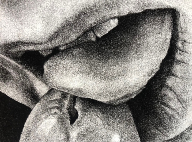 Untitled (Ma tres doulce Valentinée), 2026 by Phillip Dvorak