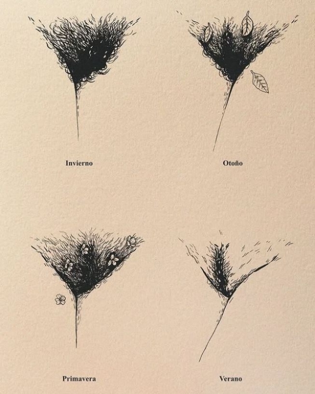 various vulvas by Rebeca Fleur